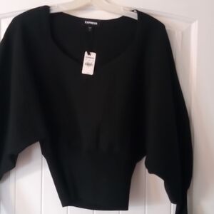 Express Black V-Neck Sweater with Relaxed Fit